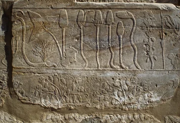 Eläinten ja kasvien reliefi, jonka Thutmosai III tarjosi Amunille palattuaan Syyrian sotaretkeltä vuonna 1465 eKr., Kasvitieteellisen puutarhan huone, Karnak, Thebanin nekropolis, Luxor, Egypti, Uusi valtakunta, XVIII dynastia.