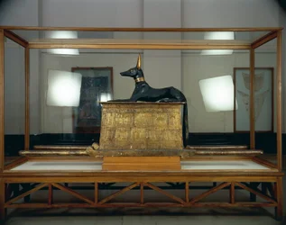 Tutankhamonin aarre, puinen sakaalijumala Anubiksen patsas kultaisen arkun päällä Uudesta valtakunnasta.