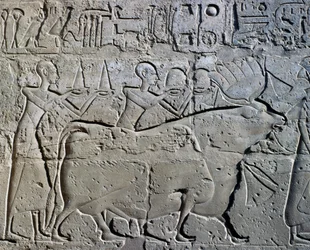 Kaivosalueita symboloivia hahmoja tuomassa veronsa jumalalle, reliefi, Ramesses II:n sisäpiha, Amunin temppeli (Unescon maailmanperintöluettelo).