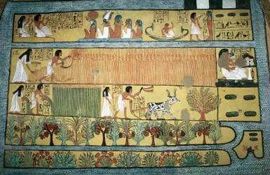 Egypti, Thebe, valtion työläisten kylä Dayr al-Madinahissa (Deir el-Medina), Sennedjemin hauta, fresko, joka kuvaa maatalouskohtauksia Ialun pelloilla, Uusi valtakunta, XIX dynastia.