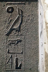 Hieroglyfi, jossa Horuksen nimi, Amunin suuri temppeli, Tanis, Egypti, Uusi valtakunta, XIX dynastia