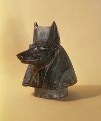 Kanoppisen purkin tulppa Duamutefin, New Kingdomin pään muodossa (keraaminen)