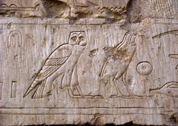 Egyptiläinen antiikki: pöllöä ja kotkaa edustava reliefi. Ankh-Horin hauta (Ankh Hor) (TT414) (26. dynastia, 672-525 eKr.), Luxor (Thebes), Egypti