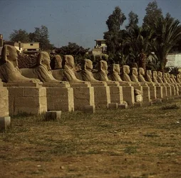 Avenue of Sphinxes, lisäsi Nectanebo I (380-362 eKr.) myöhäinen ajanjakso