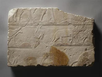 Relief with Desert Animals, Old Kingdom, löydetty Saqqarasta, noin 2472-2455 eKr. (maalattu kalkkikivi)