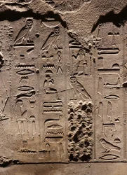 Hieroglyfit. Luxorin temppeli (reliefi)