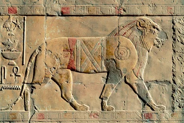 Leijona, Senenmut, Hatshepsutin temppeli, Dayr al-Bahri, Egypti