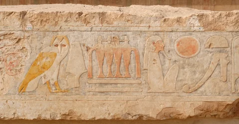 Alhainen helpotus. Hatšepsutin hautajaistemppeli, Deir el Bahari.