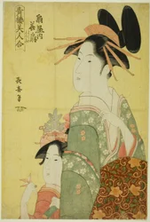 Hanaogi of the Ogiya, sarjasta "Pleasure Quartersin kaunottaret (Seiro bijin awase)"