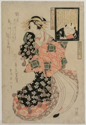 Silmät katsomaan kurtisaania, c. 1810.