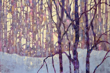 Violetti metsän hehku