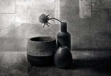 Moody Thistle -alukset