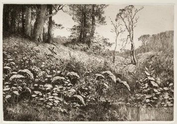 Kesäiltapäivä, 1882.