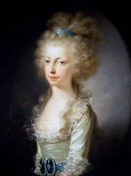 Itävallan arkkiherttuatar Maria Clementinan muotokuva (öljy kankaalle)