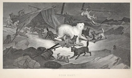 Bear Hunt, kuvitus teoksesta "Toinen Grinnell-retkikunta Sir John Franklinia etsimässä...", 1856