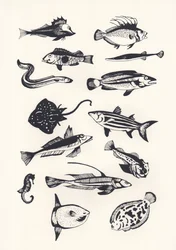 Monotone Plain Fish, 2015 (silkkipainatus)