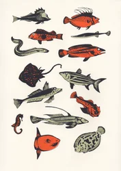 Orange Plain Fish, 2016 (silkkipainatus)