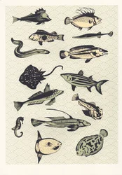 Keltainen japanilainen kala, 2016 (silmäpainatus)