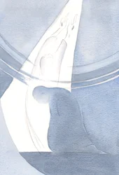 Näin, kuinka Kristuksen elämä ja uhri lävistävät itse taivaan avaten tien, jonne voimme seurata, jakaa Hänen kunniaansa., 2000 (paperilla)