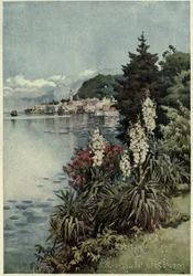 Ryhmä Yuccoja, Villa Melzi, Lago di Como, Kuvitus Richard Bagotin teoksesta "Italian järvet"