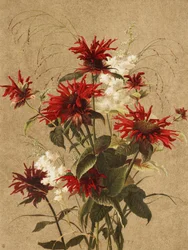 Balm ja Spiraea, kirjoittanut Ellen Thayer Fisher
