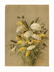 Hemlock, silmäruoho ja kultapiisku