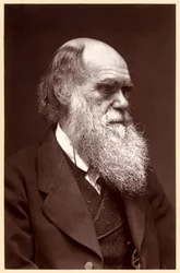 Charles Darwin: englantilainen luonnontieteilijä