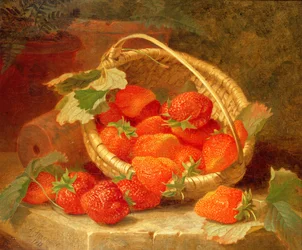Mansikkakori kivireunuksella, 1888