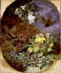Wrens ruokkimassa poikasiaan pesässä (s. & k. 1876)
