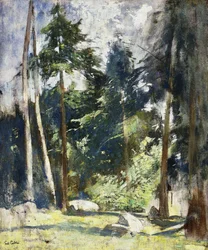 Korkeat Pines