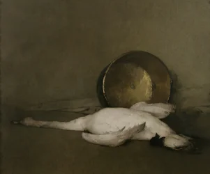 Villi joutsen, 1902