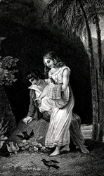 Kaiverrus, joka kuvaa Jacques-Henri Bernardin de Saint-Pierren (Jacques Henri Bernardin de Saint-Pierre) romaanin 1800-luvun lopun painosta: Paul et Virginie. Linnut tulevat pelkäämättä maihin nuoren rakastajaparin lähelle metsässä. Piirustus b