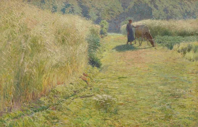 Summeri