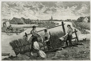 Pellavan ruoste (maserointi, joka helpottaa kuoren irtoamista varresta) Lysissä (joki Ranskan ja Belgian pohjoispuolella). Kaiverrus Emile Claus, havainnollistamaan tarinaa "" La Belgique", kirjoittaja Camille Lemonnier (1844) -1913), kirjailija ja taidekr