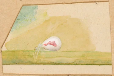 Posliinivalkoinen hämähäkki, 1800-luvun loppu - 1900-luvun alku.
