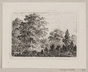 Metsä maisema