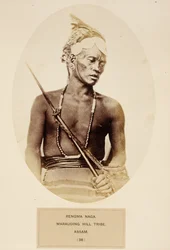 Rengma Naga, Marauding Hill Tribe, Assam, J. Forbes Watsonin teoksesta The People of India, julkaistu 1868 (albumiprintti)