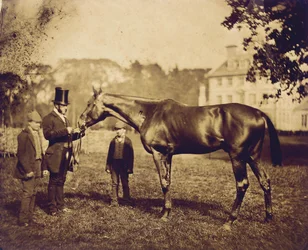 Wild Dayrell, Derbyn voittaja vuonna 1856