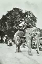 Zoological Gardens, Regents Park: elefantiratsastus, Lontoo, noin 1895