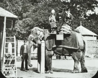 Zoological Gardens, Regents Park: norsu aikuisten ja lasten ratsastuksessa, Lontoon eläintarha, 1894