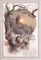 Viktoriaaninen joulukortti pöllöstä kyydissä oksalla kuutamoisena yönä, n. 1880 (väri litho)