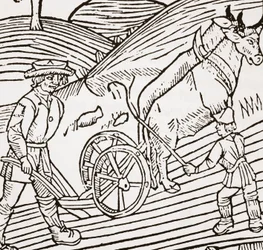 Auraan kiinnitetty härkäpari, otsikkosivu John Fitzherberts Boke of Husbandrysta, ensimmäinen pubi. 1523