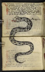 Lisää MS 57312 f.4 -pelikirja (muste ja väri velumissa)