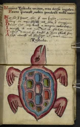 Lisää MS 57312 f.5 -pelikirja (muste ja väri velumissa)