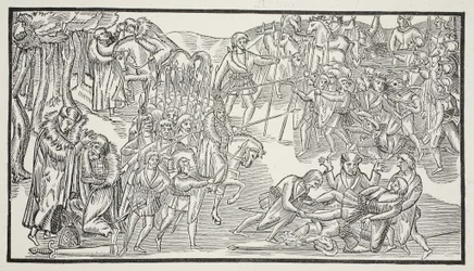 Irlannin päälliköiden viimeinen taistelu, 1581 (seepiakuva)