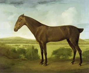Ruskea hevonen mäkisessä maisemassa, n. 1780-1800