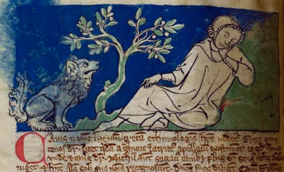 CCA-LitMs/D/10 fol. 5v Dog, Bestiarysta