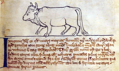 CCA-LitMs/D/10 fol. 9r Bullock, Bestiarysta