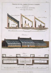 Suunnittelu Peach Houselle, Green Houselle ja Pinerylle, 1806
