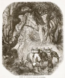 Eurooppalaisten lento kapinallisista, kuvitus Cassells Illustrated History of Englandista